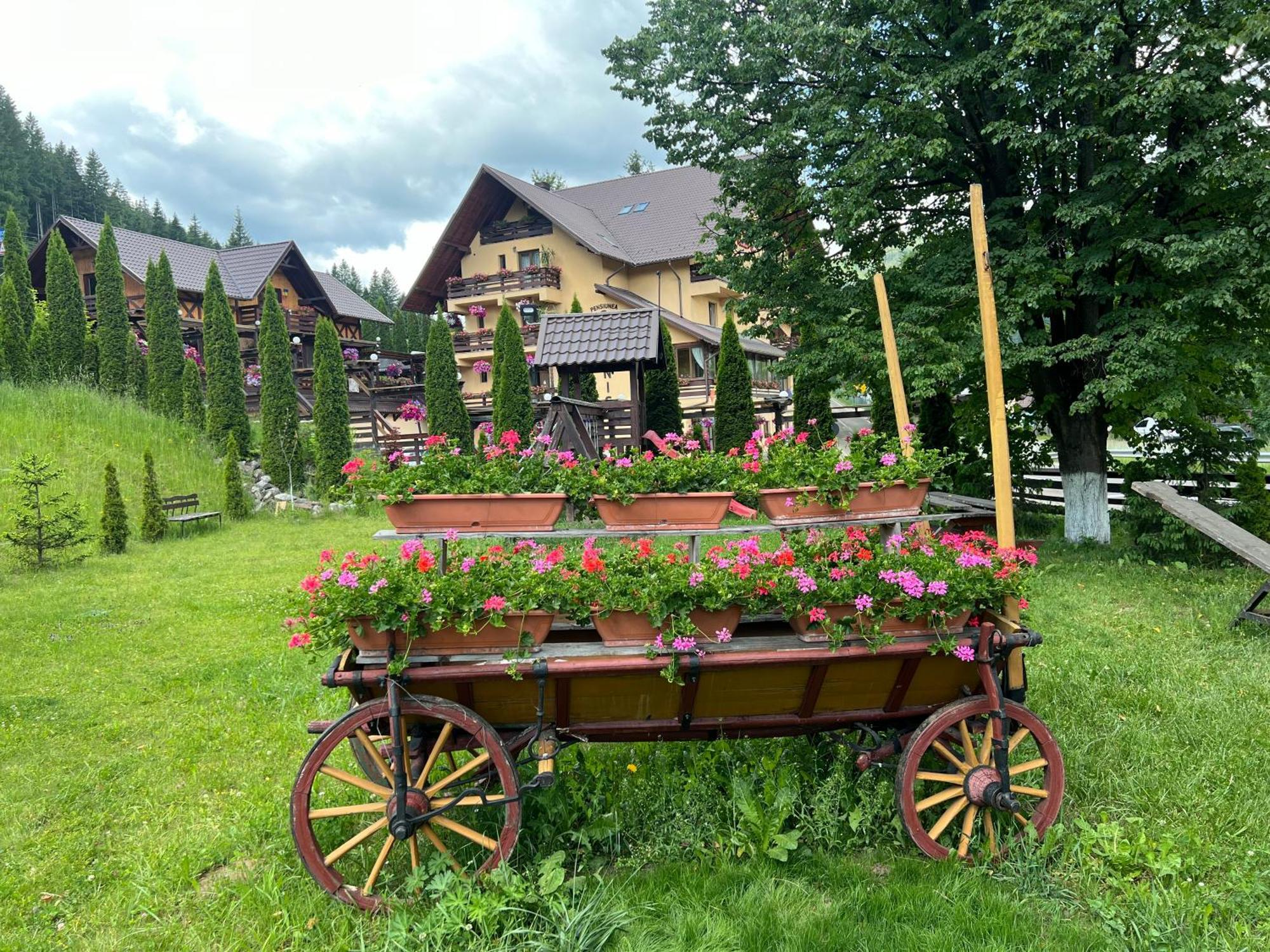 Pensiunea Vranis Садова Экстерьер фото